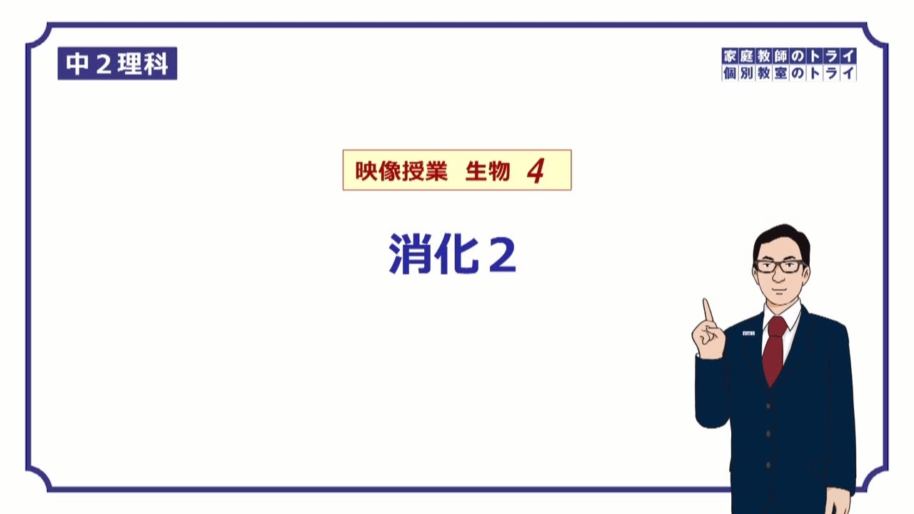 【中２　理科　生物】　消化酵素のはたらき　（２２分）