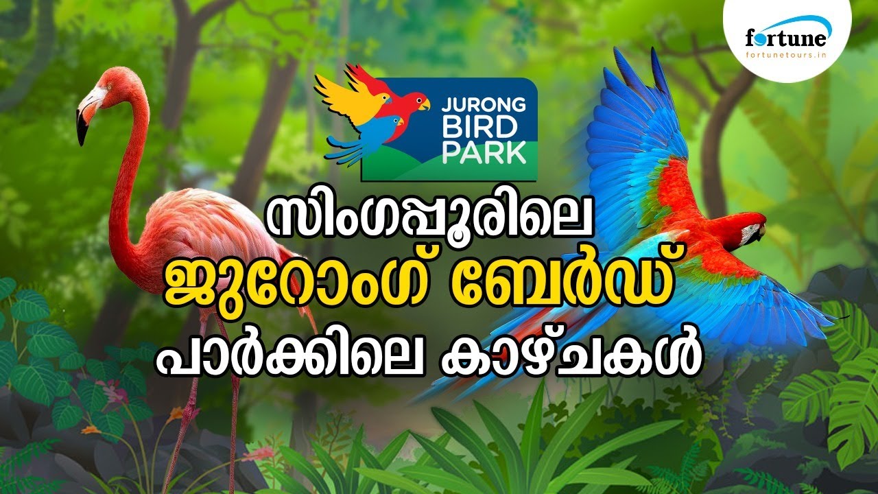 Jurong Bird Park, Singapore Video | Fortune Tours Kochi