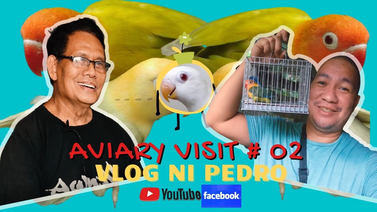 Isang Retired na Manager na Mahilig sa Lovebirds | Aviary Visit |Bisaya ni Bay | Vlog ni Pedro