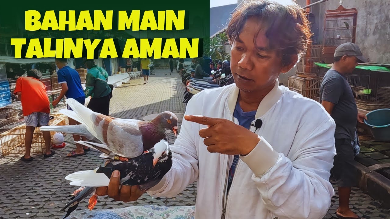 Jual Santai Gak Ngoyo, Kalau Udah Rezekinya Insya Alloh Gak Akan Lari