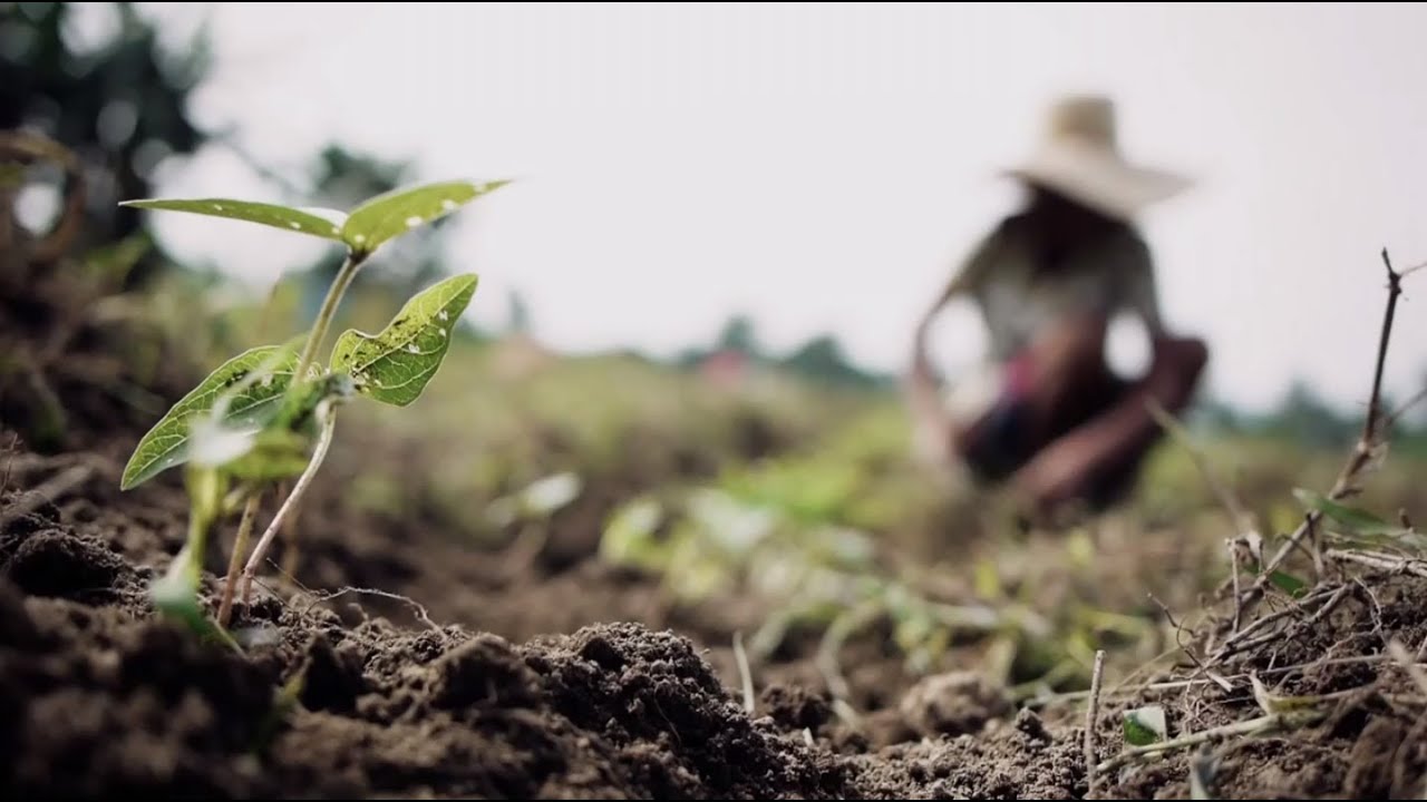 Fighting malnutrition in the Philippines | UNICEF