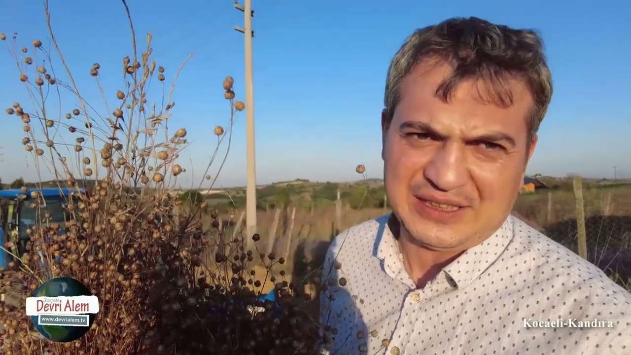 Kocaeli'nin Marka Değerleri