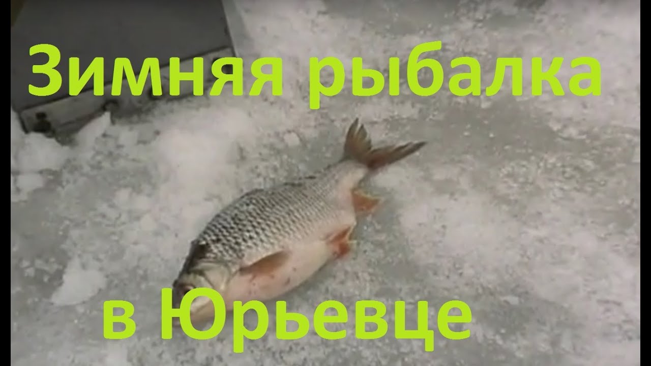 Диалоги о рыбалке - 210- Зимняя рыбалка в Юрьевце, ловля белой рыбы.
