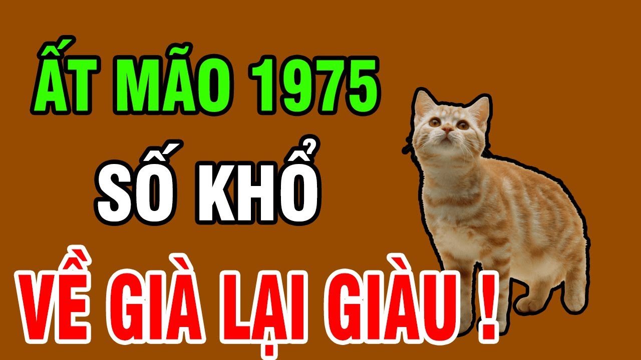 Tuổi Ất Mão 1975– Sinh Ra Đã Khổ, Nhưng Càng Về Già Càng Hưởng Phúc Trời Ban!