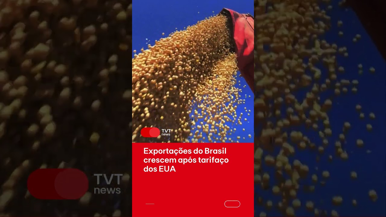 Mesmo com tarifas dos EUA, as exporta&ccedil;&otilde;es do Brasil cresceram e foram recorde