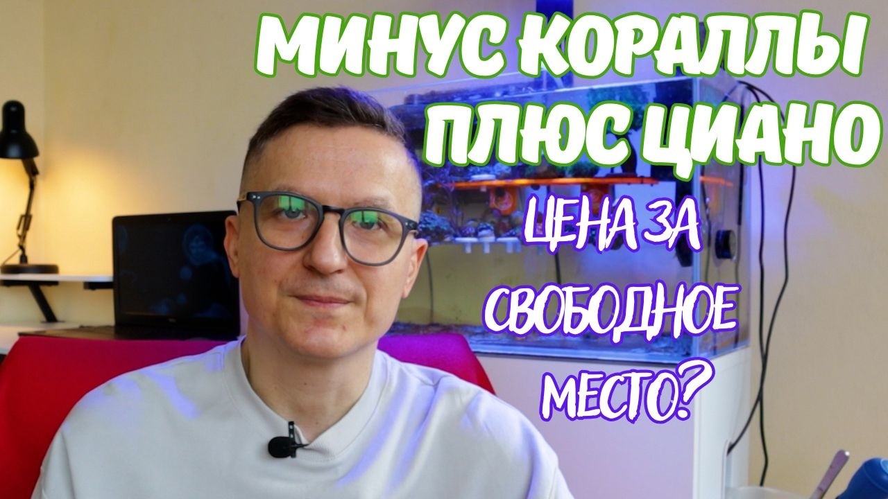 Минус кораллы - плюс циано! Цена за свободное место?