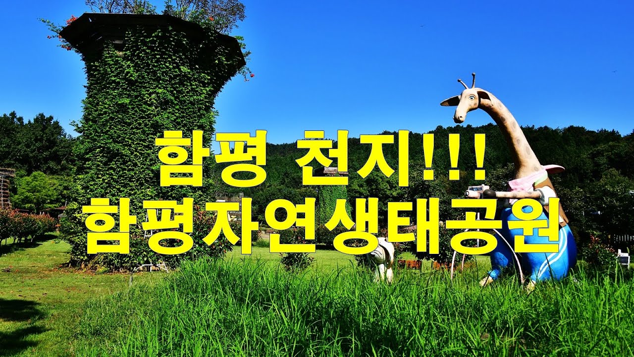 함평 천지!!! 함평 자연생태공원 2024 9 10 방문
