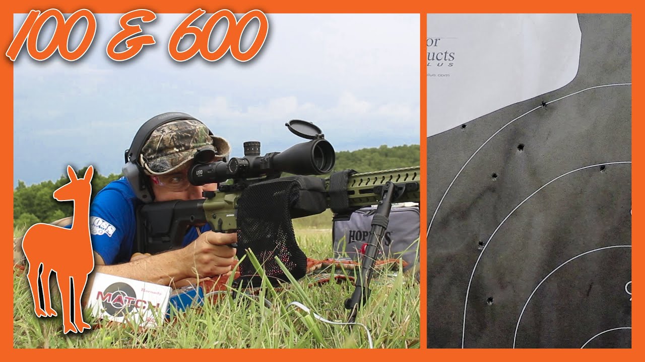 6mm ARC Accuracy at 100 and 600 Yards - CMMG Endeavor 300