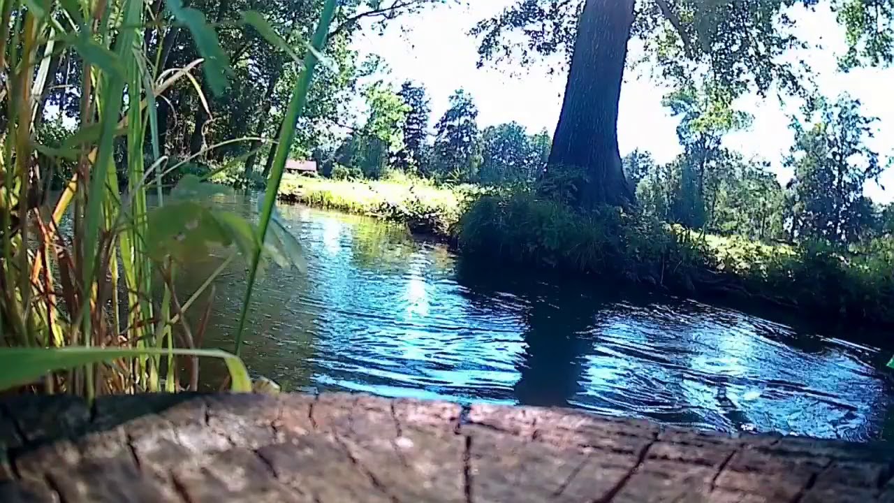Paddeltour im Spreewald
