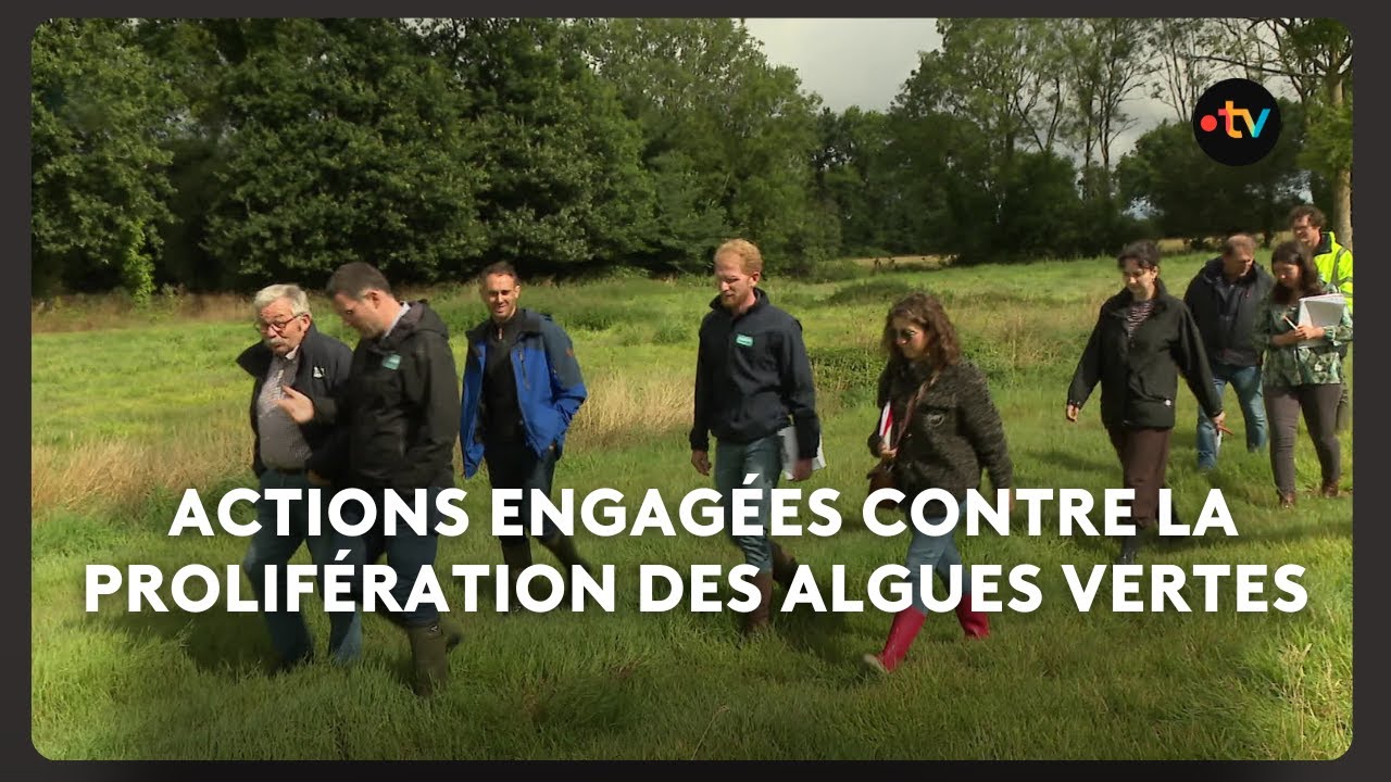 Actions préventives sur la qualité des cours d'eau algues vertes