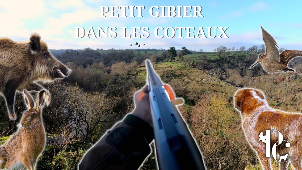 Chasse dans les Coteaux : Petit Gibier au chien d'arr&ecirc;t