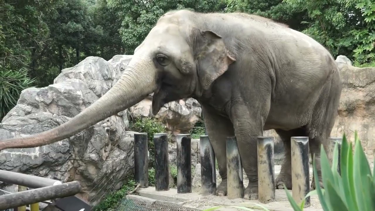 到津の森公園 (2015.8.28)