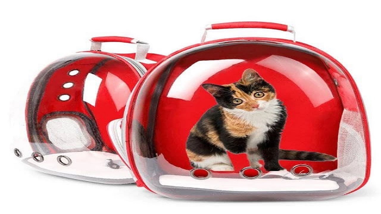 Sac à dos de Transport pour animaux