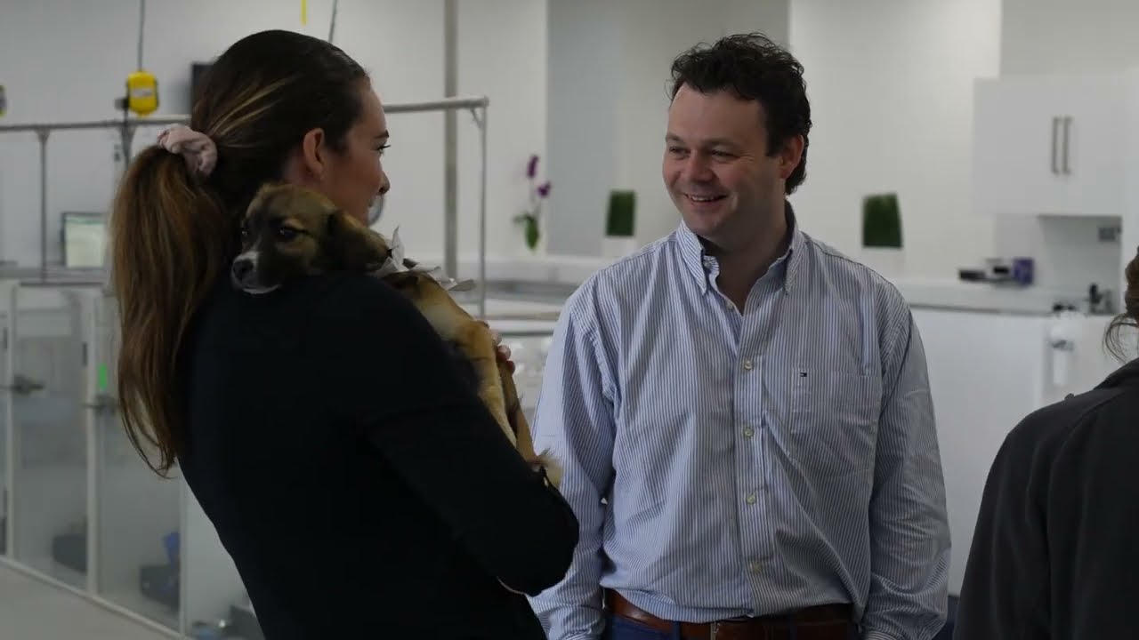 Welcome to Veterinary Specialists Ireland
