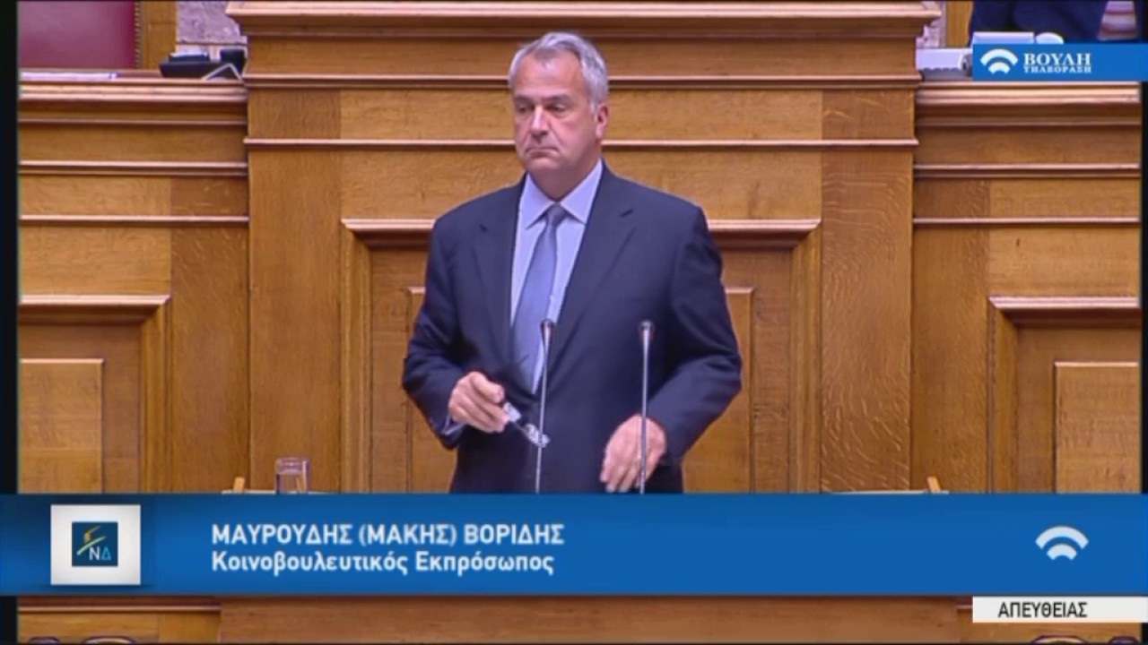 Μ.Βορίδης (Κοινοβουλ.Εκπρόσωπος ΝΔ)(Μέτρα εφαρμογής δημοσιον. στόχων και μεταρρυθμ.)(18/05/2017)