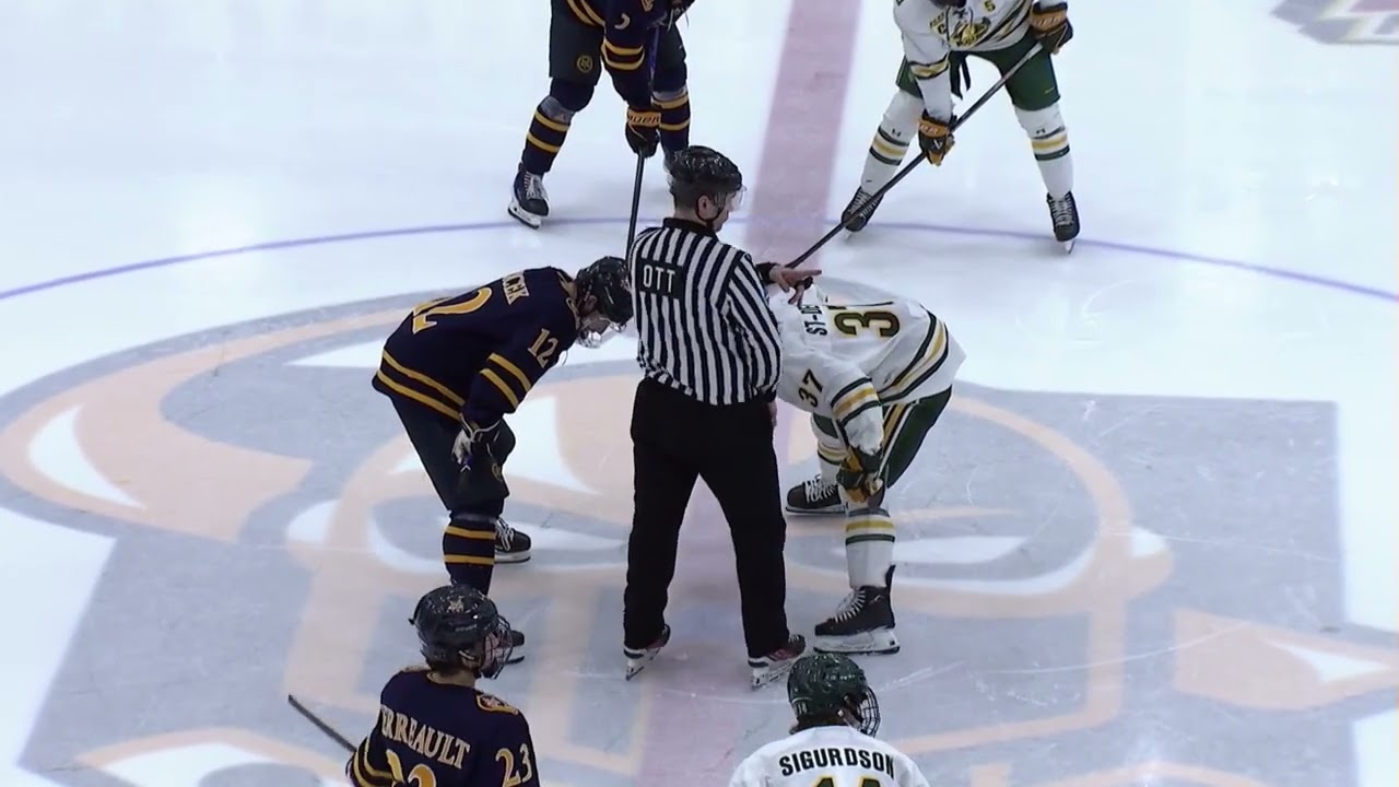 Clarkson vs Quinnipiac Highlights