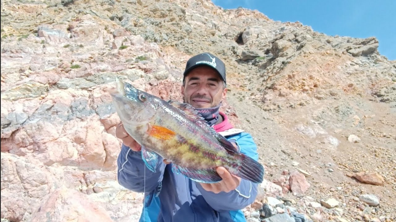 PRECIOSO PEZ 🐟 CAPTURADO A LA PESCA SURFCASTING EN LAS COSTAS DE GRANADA 