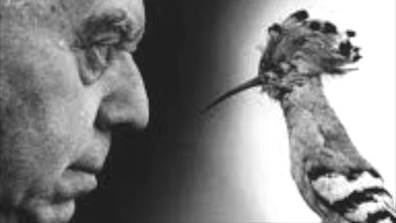 Eugenio Montale  Ti libero la fronte dai ghiaccioli