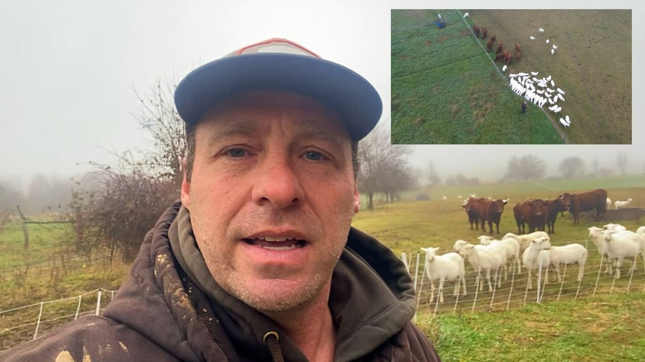 $90/Hour to Stockpile Graze #regenerativeagriculture 