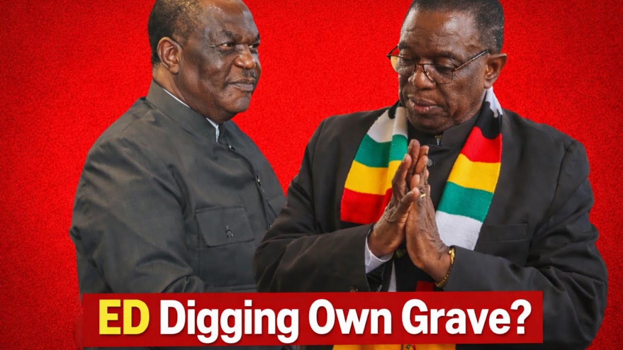 Ziyambi’s Proposed Constitutional Changes Explained | All You Need to Know