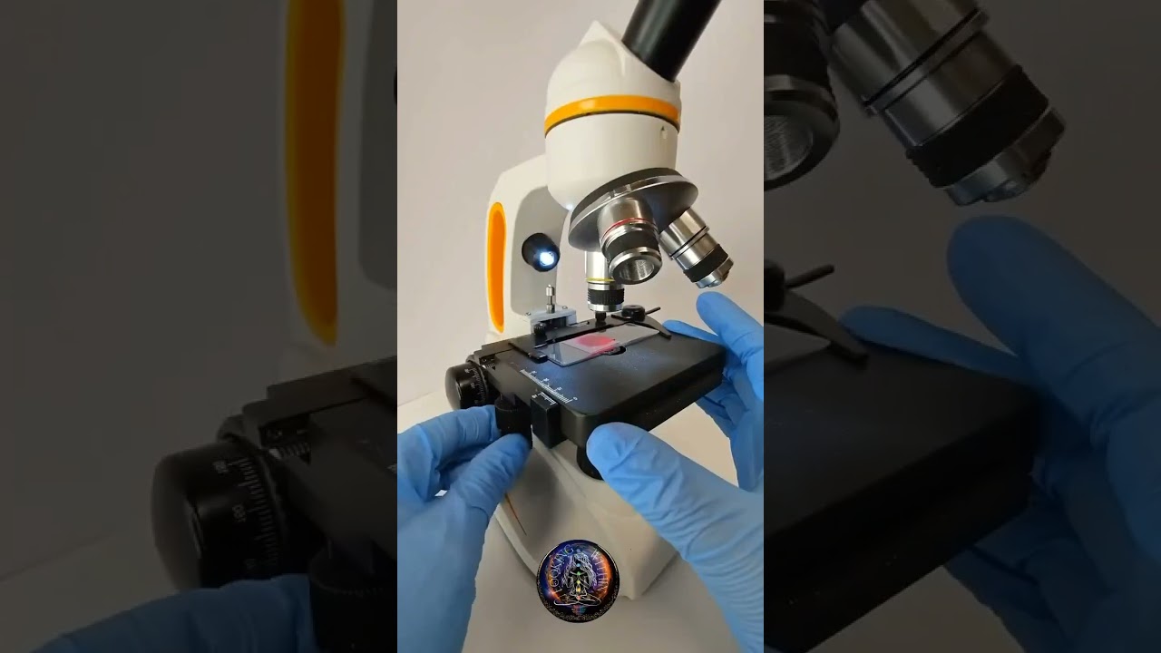 Lipstick Under the Microscope 🔬✨ | Satisfying ASMR Zoom-in 