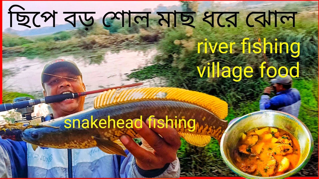 নদীতে ছিপে বড় হলুদ শোল মাছ ধরে পাতলা ঝোল river fishing village food #fishing #cooking #snakehead 