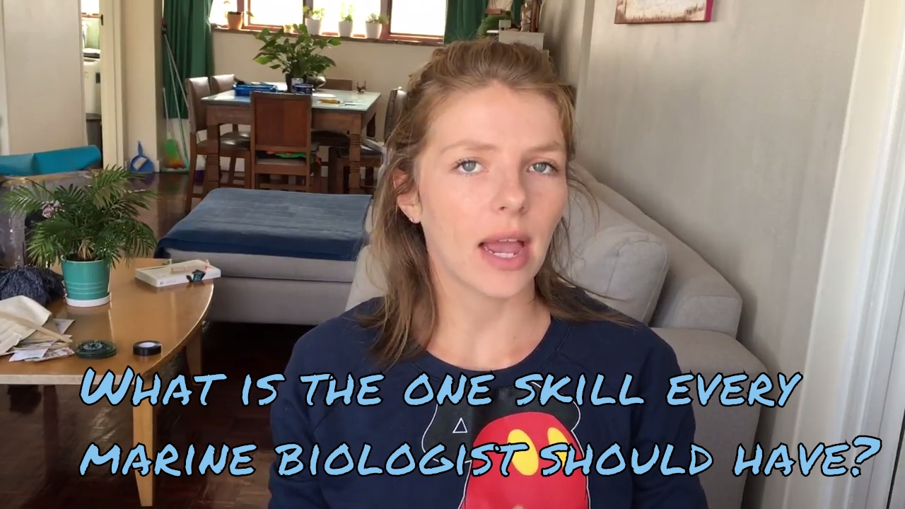 One of the most important skills every marine biologist needs!