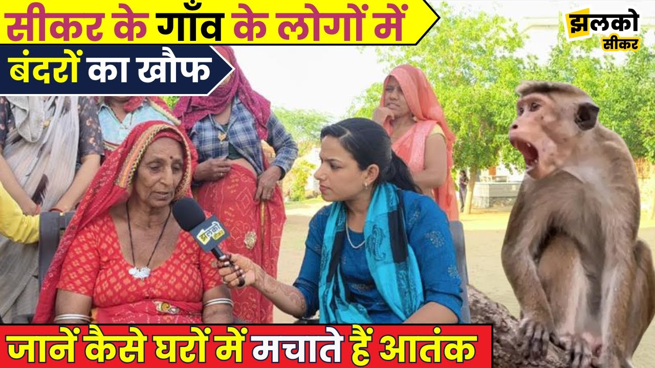 Khandela के इस गाँव में बंदरों ने मचा रखा है आतंक, लोगों ने बताई शैतानी हरकतें ~ Jhalko Sikar