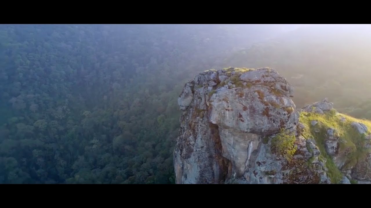 Gashaka Gumti National Park, Taraba, Nigeria - African Nature Investors Documentary