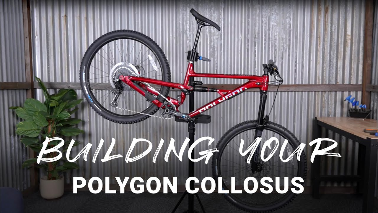Polygon Collosus Assembly Guide