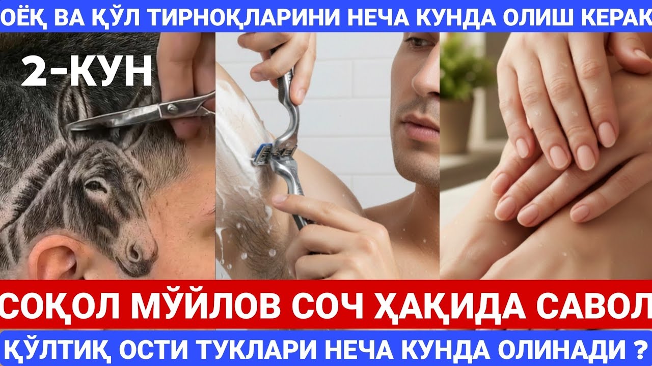 ТИРНОҚЛАРНИ ОЛИШ, ХАРОМ ТУКЛАРНИ ҚИРИШ, СОЧ ВА СОҚОЛ ҲАҚИДА САВОЛЛАР | МАҲМУДЖОН ДОМЛА