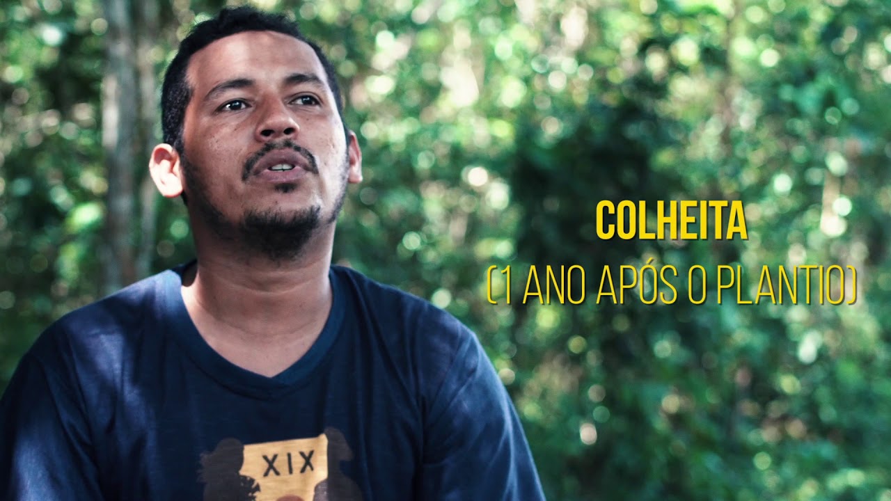 Como é feita a farinha de mandioca | Soluções para a Sustentabilidade