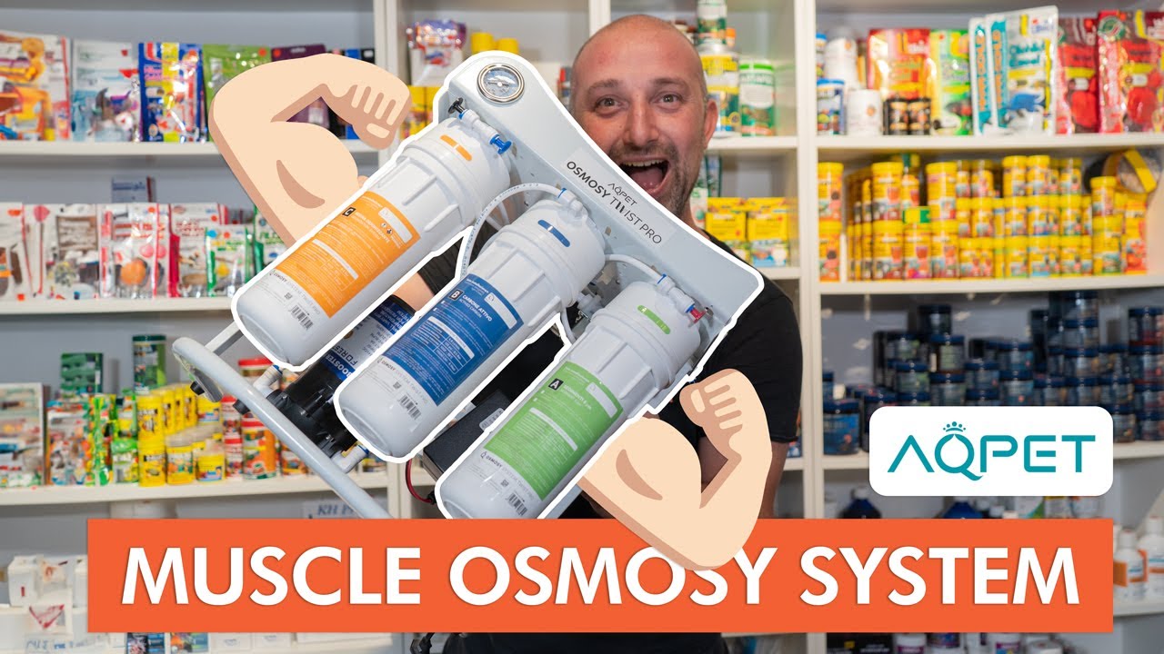 Impianto osmotico gigante | Osmosy Twist Pro | AQPET