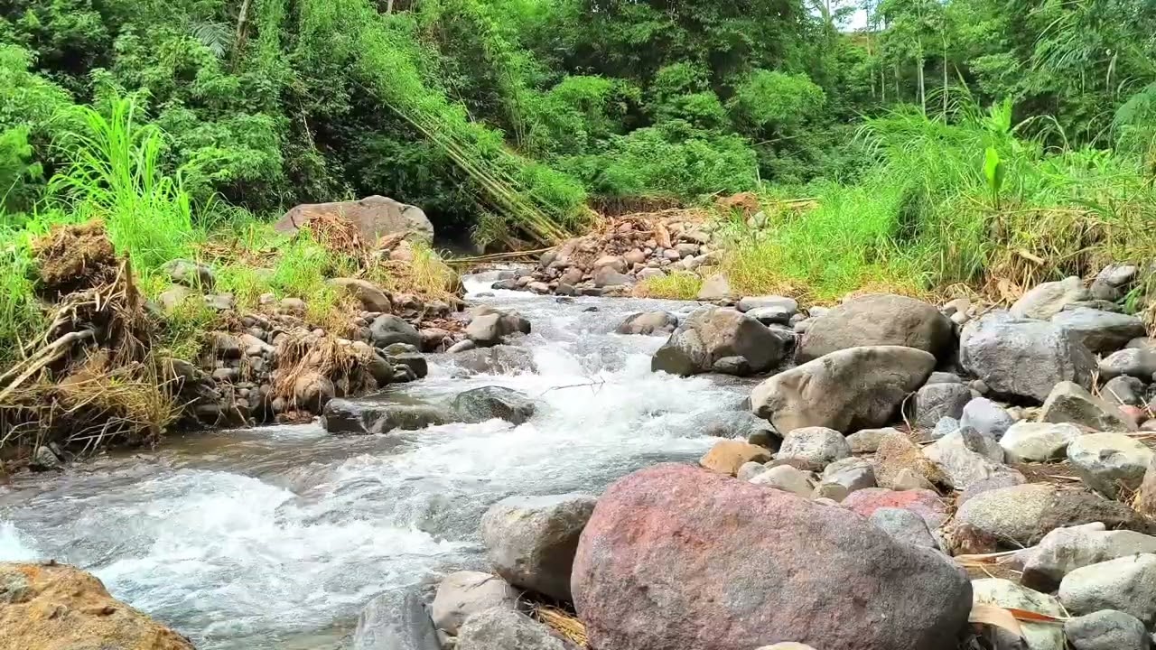 1 Hour Relaxing Beautiful Flowing River Water Sounds to Calm the Mind, Deep Sleep, and Meditation