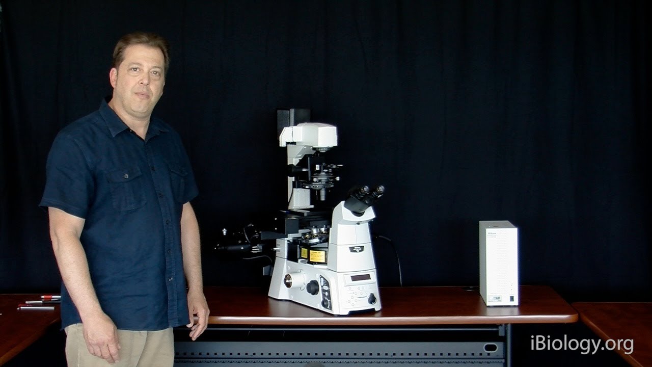Microscopy: Disassembling a Nikon Ti Eclipse (Stephen Ross)