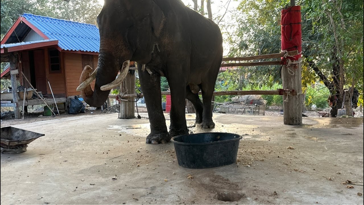 อัพเดตพ่อยูจ้า