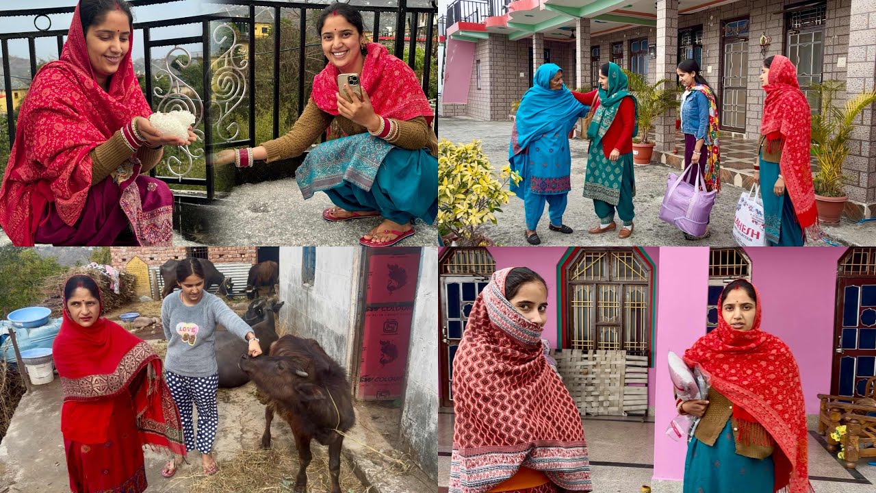 पहली बार हमारे गाँव में इतनी बर्फ पड़ी 🥰#twins #himachal #village 