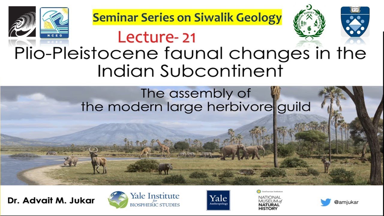 Lecture-21 Plio-Pleistocene Indian large herbivore guild | Dr. Advait Jukar | Naked Earth.
