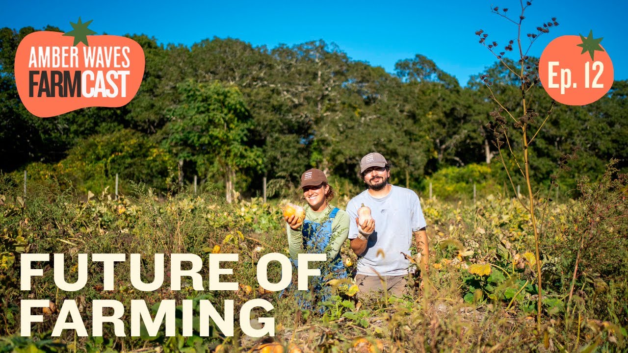 EP12 Apprentice stories: reflecting on a year on the farm