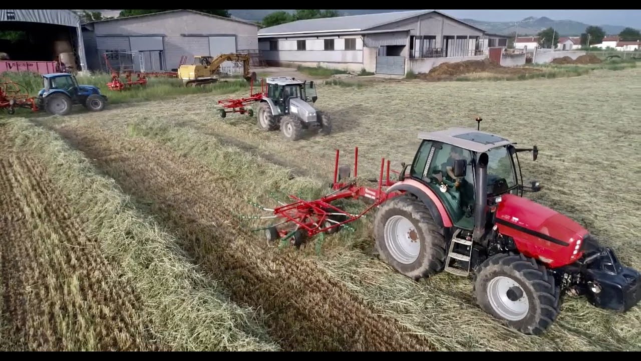 Raccolta Fieno 2021