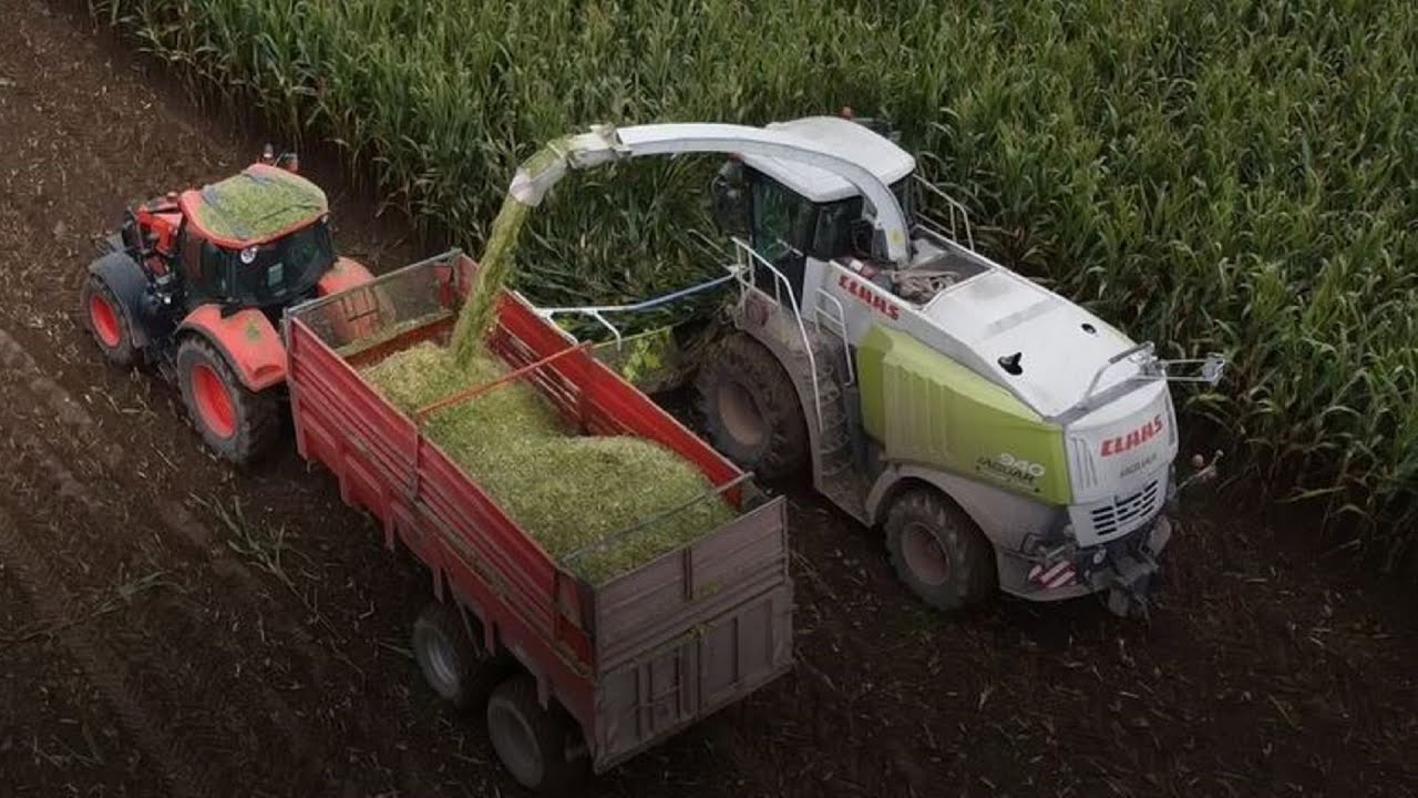 🌽Ensilage 2020 / Claas Jaguar 940 / ETA d'Armor