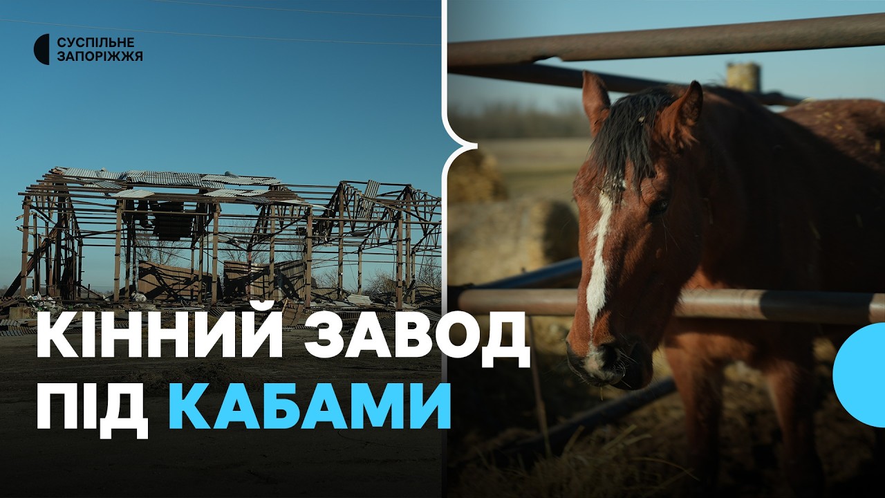 З кінного заводу, що у селищі Трудове Запорізької області, евакуюють коней
