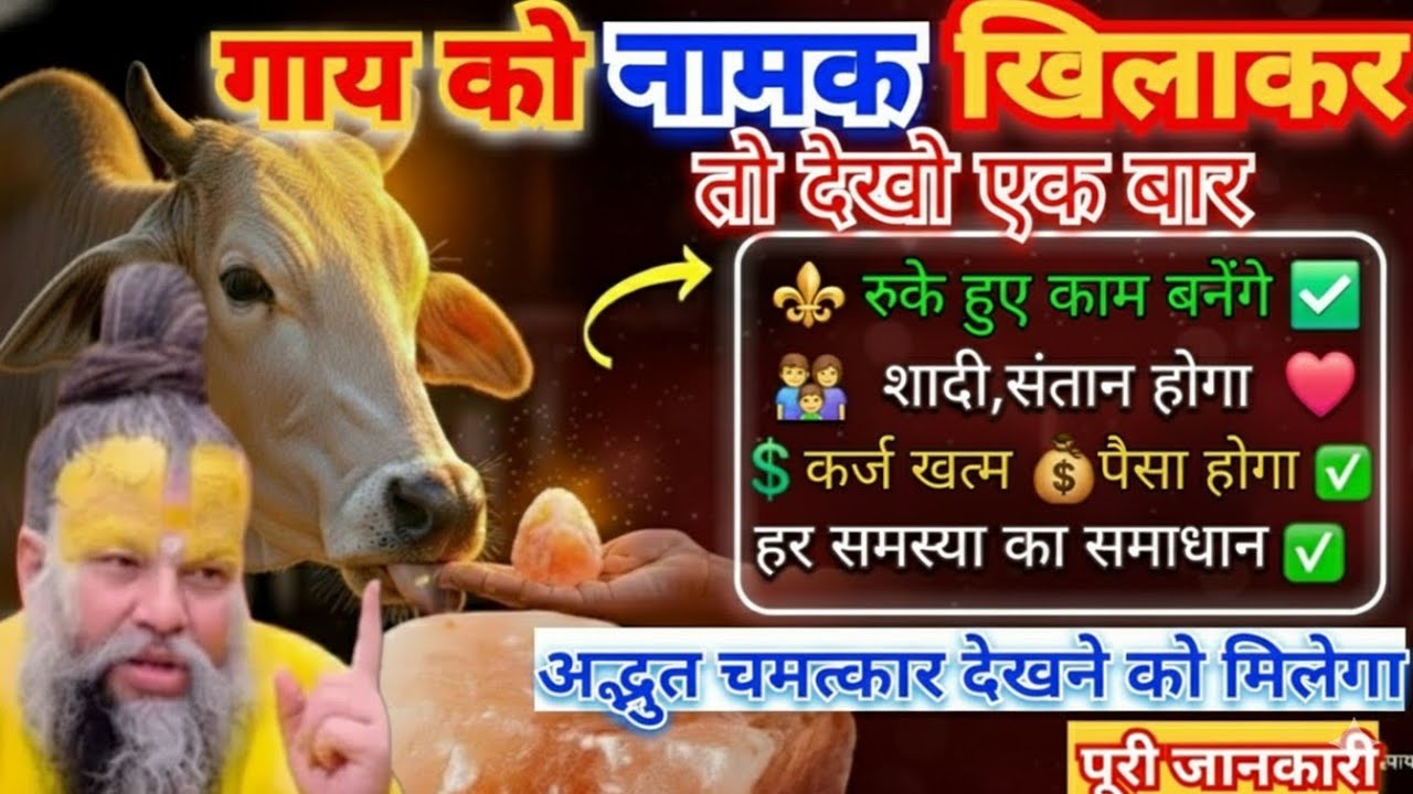 गाय को खिलाएं नमक और देखें चमत्कार ! अद्भुत चमत्कार | Salt To Cow ! Premanand Ji Maharaj|@BhajanMarg