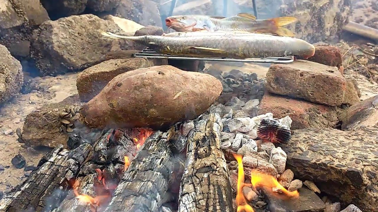 PESCA Y COCINA