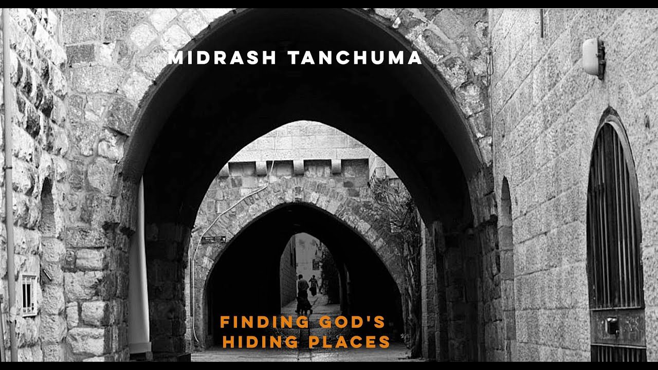 Midrash Tanchuma A,D,H, M D, L, M Vayikra
