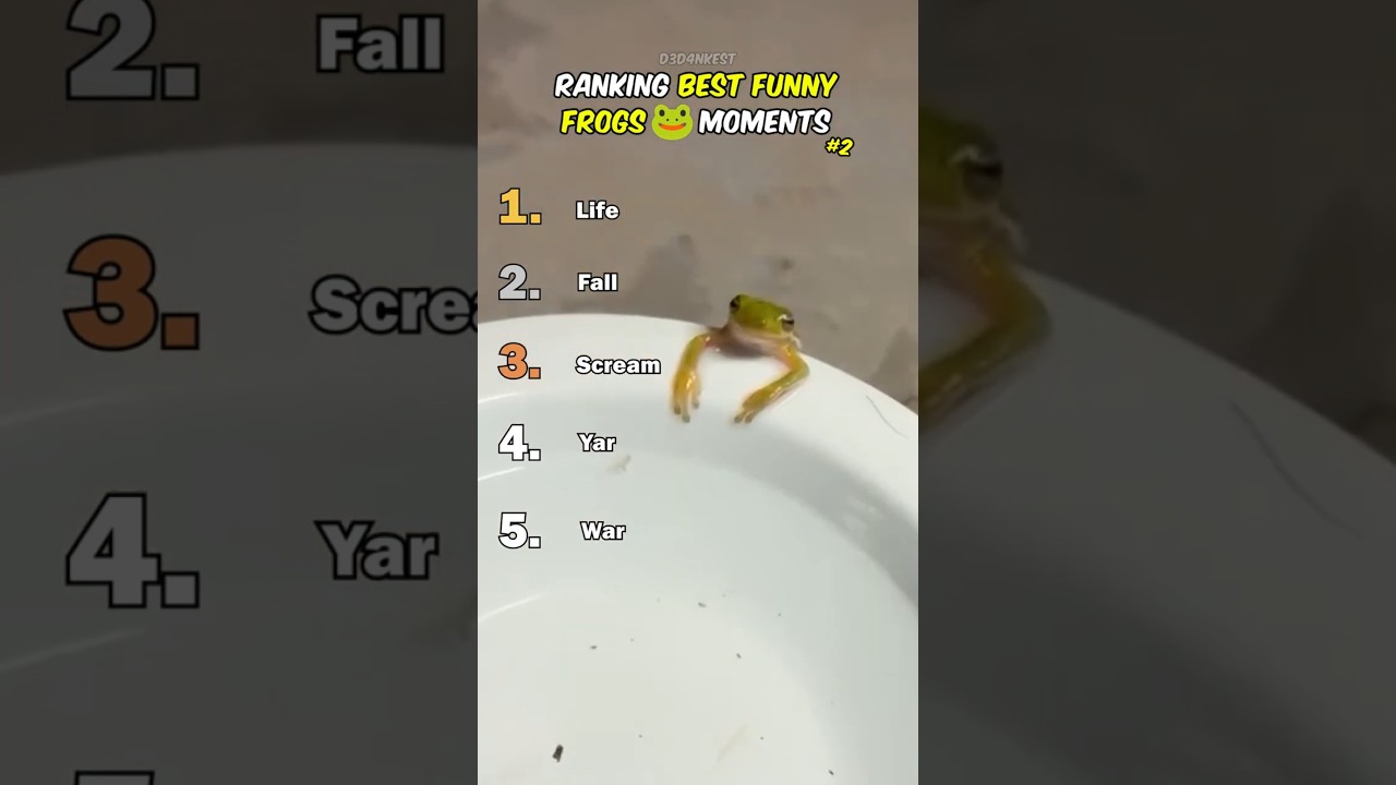 Ranking Best Frog Moments #2