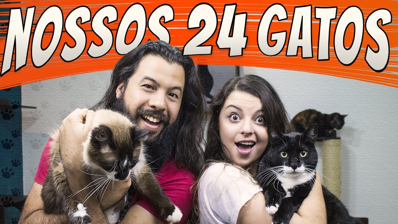 Por que nós temos 24 GATOS?