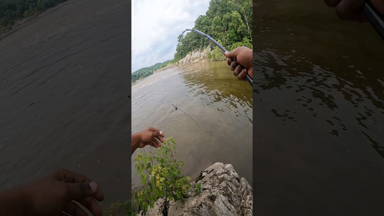 Found a Rod in the Water with Something on it&hellip;