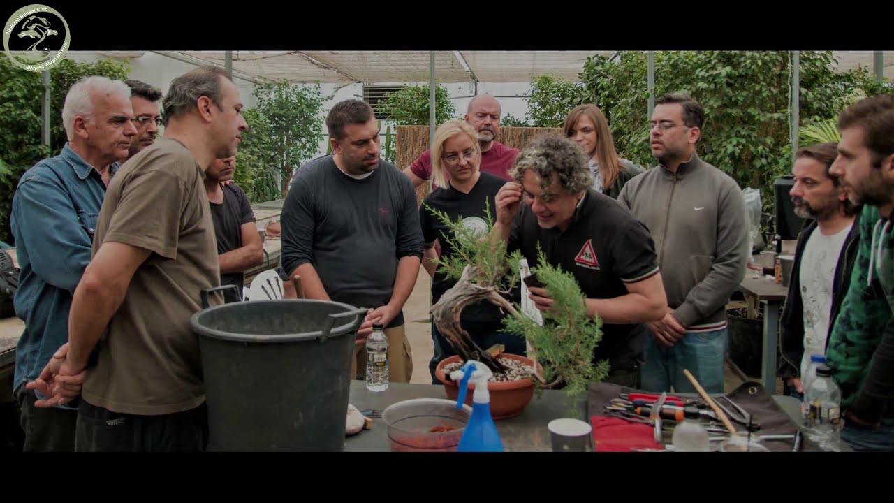 Hellenic Bonsai Club workshop 2019
