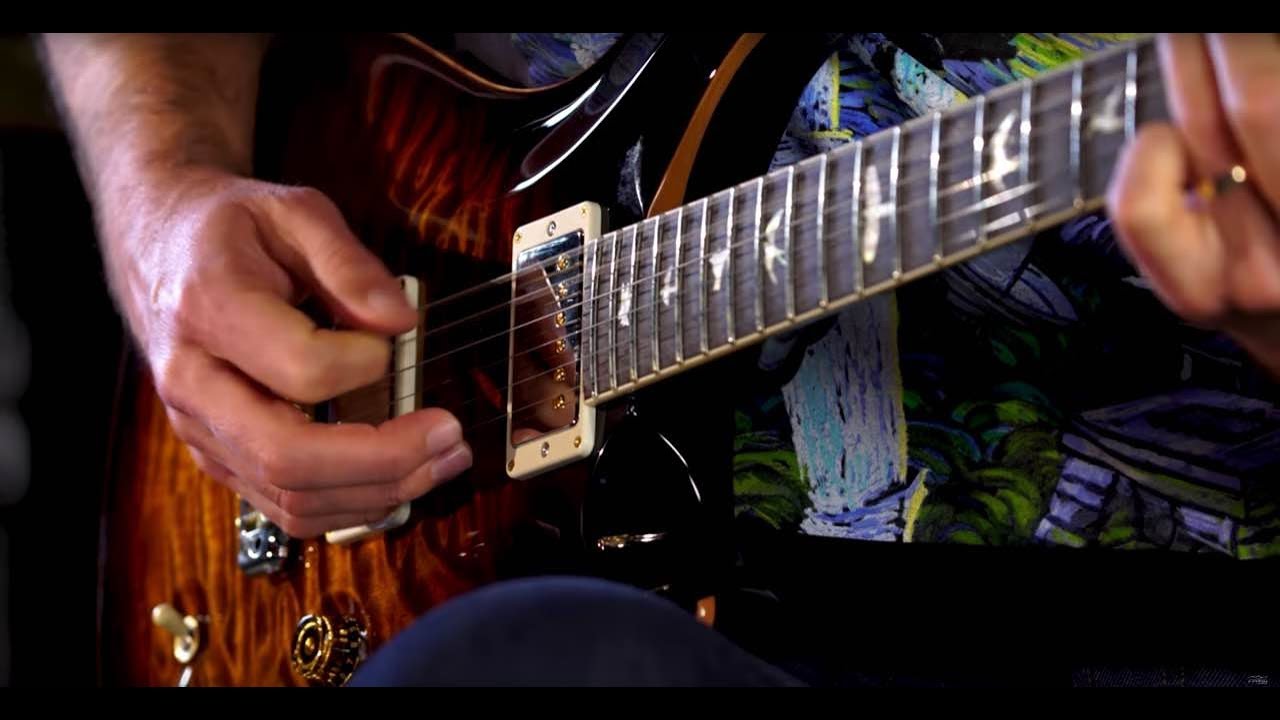 PRS Guitars Wildwood Guitars Wood Library DGT Artist  •  SN: 17244136